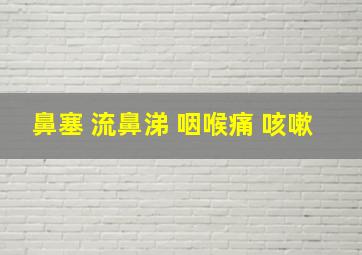 鼻塞 流鼻涕 咽喉痛 咳嗽